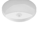 PN32300007_3.jpg